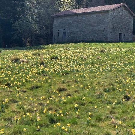 Gite " Oree Des Bois" Vertolaye エクステリア 写真