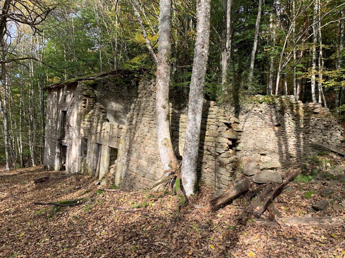 Gite " Oree Des Bois" Vertolaye エクステリア 写真