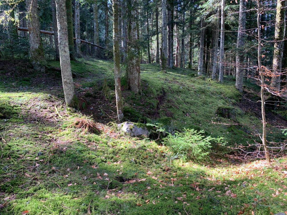 Gite " Oree Des Bois" Vertolaye エクステリア 写真