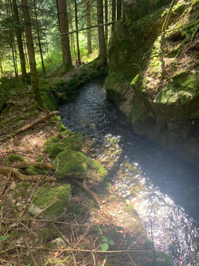 Gite " Oree Des Bois" Vertolaye エクステリア 写真