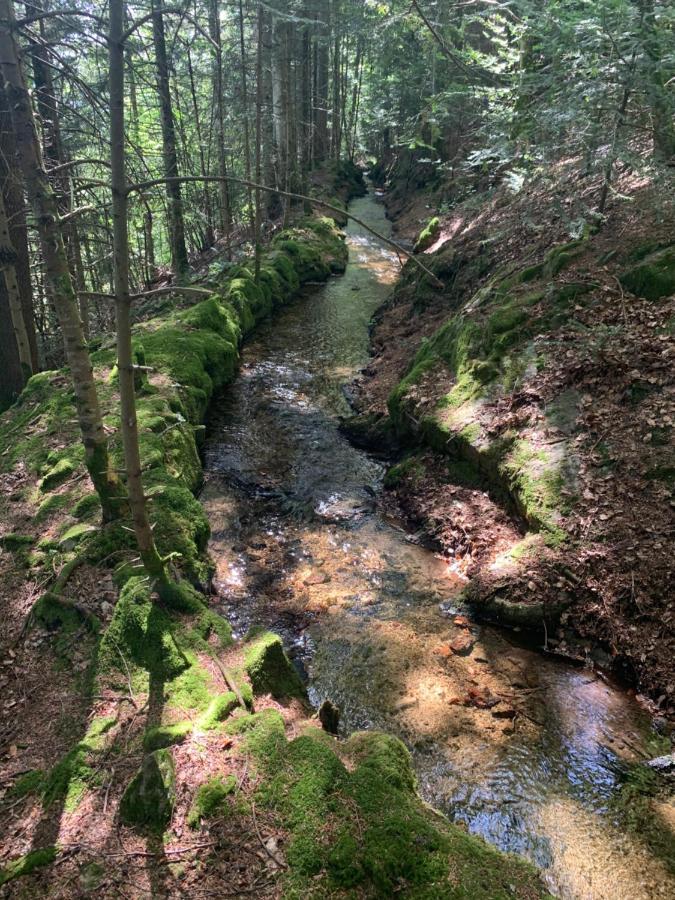 Gite " Oree Des Bois" Vertolaye エクステリア 写真