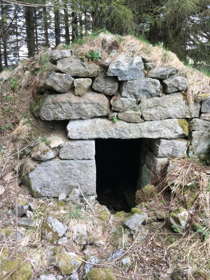 Gite " Oree Des Bois" Vertolaye エクステリア 写真