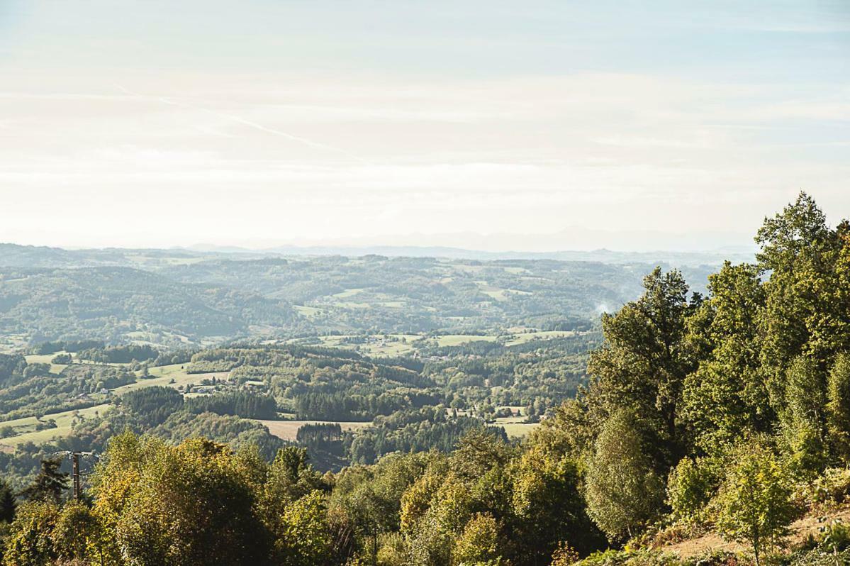 Gite " Oree Des Bois" Vertolaye エクステリア 写真
