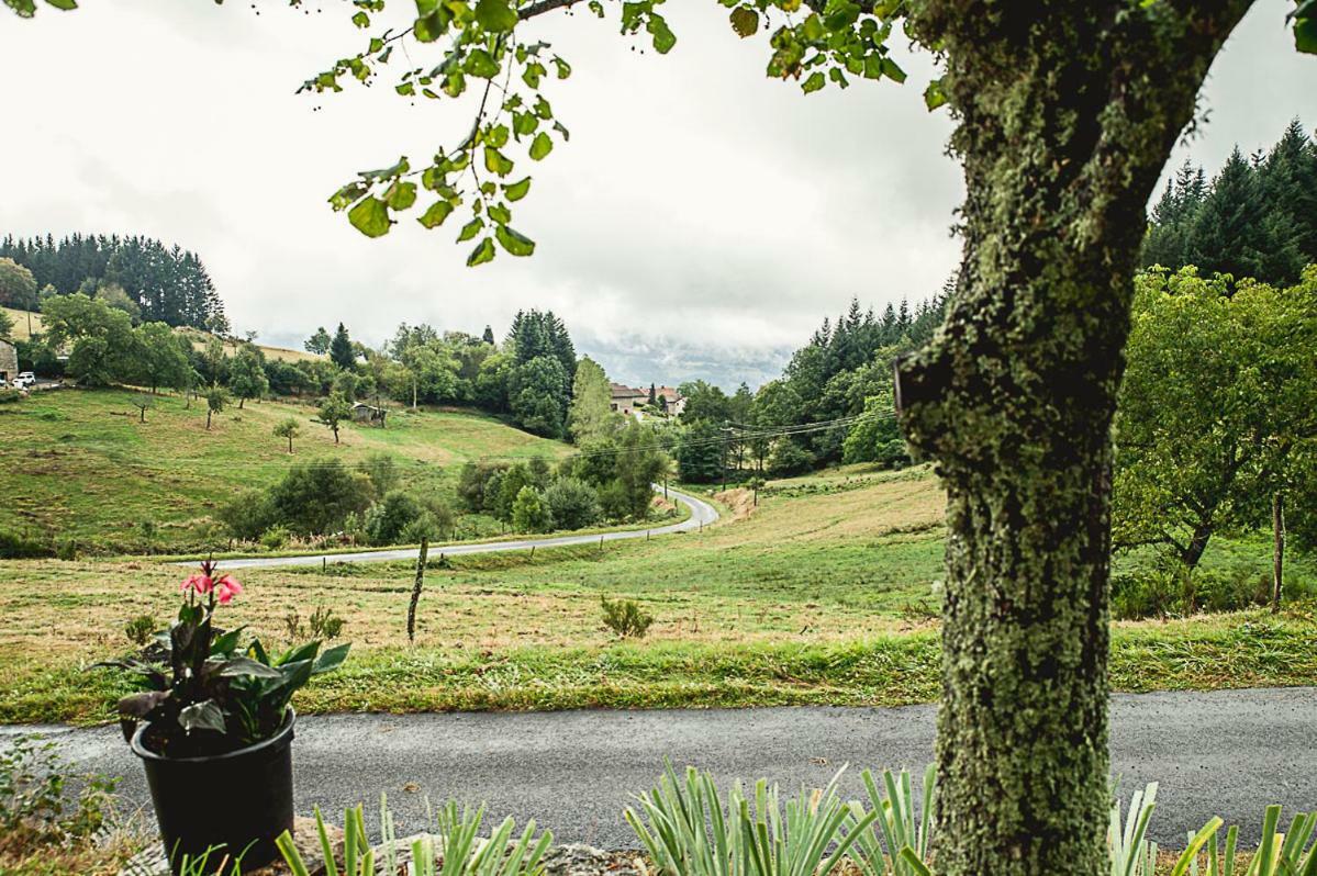 Gite " Oree Des Bois" Vertolaye エクステリア 写真