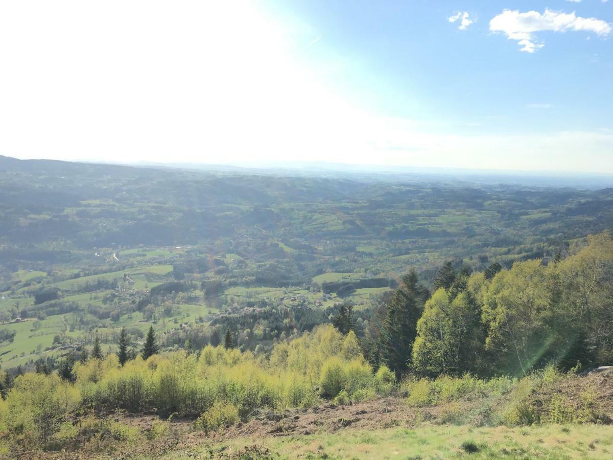 Gite " Oree Des Bois" Vertolaye エクステリア 写真